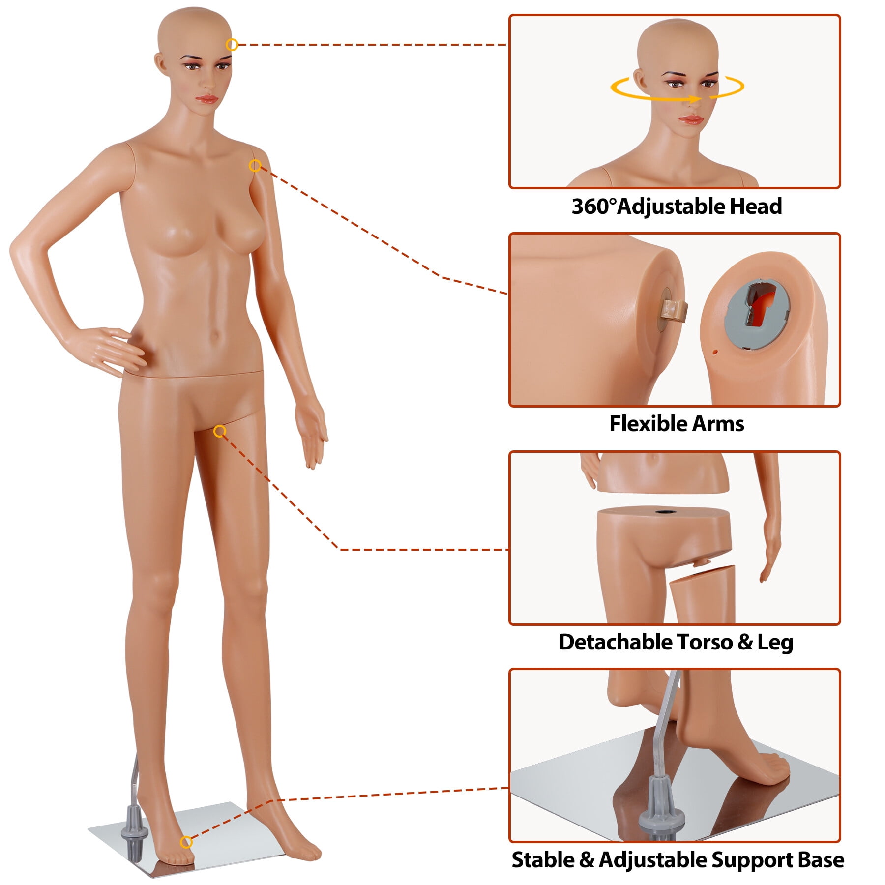 ZENY Adjustable Posture Realistic Female Torso Mannequin, 69" Full Body Display, New