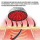 thumbnail image 3 of Red Light Therapy Cap Led Infrared Laser Hair Growth Hat Helmet Loss Treatment, 3 of 5