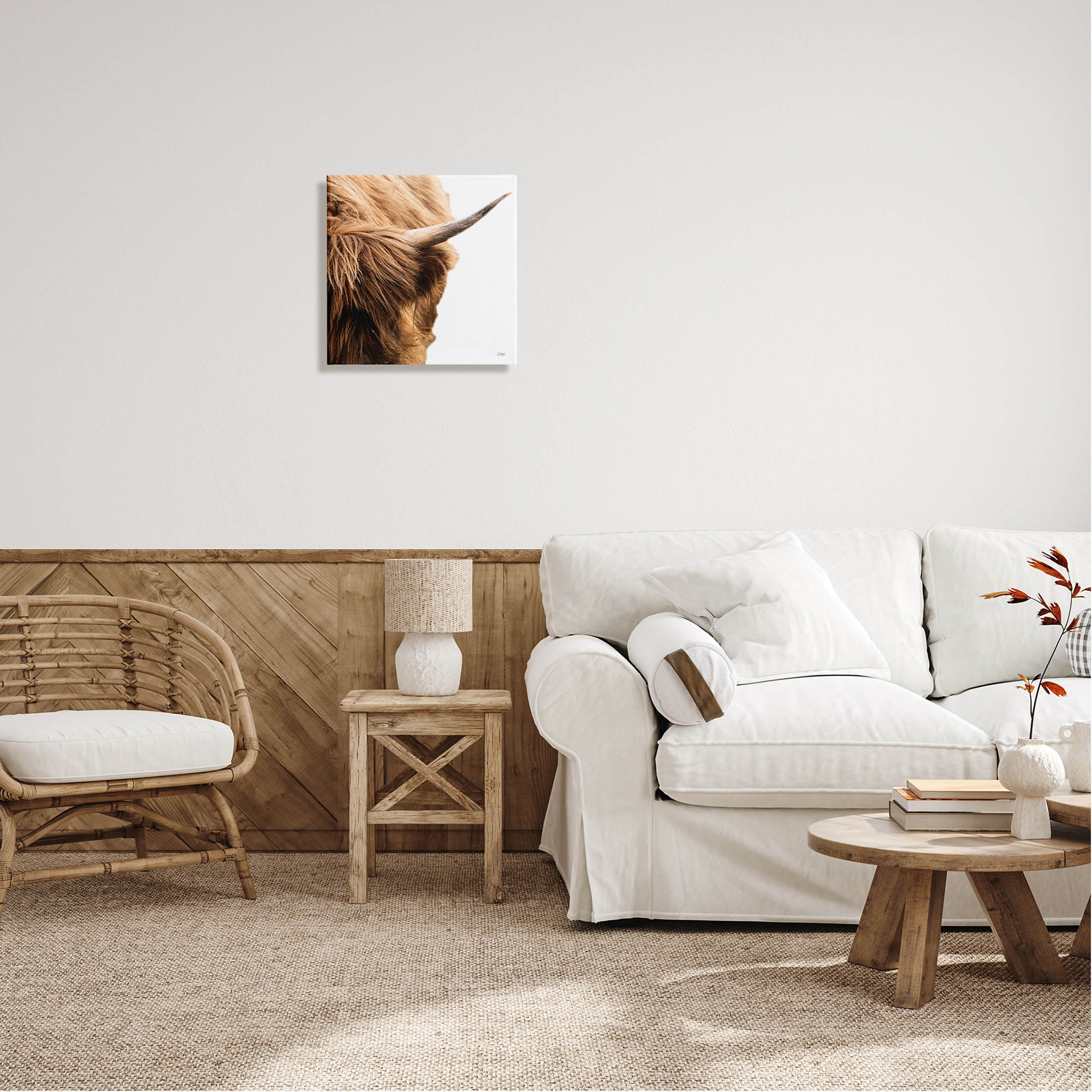 Close Up Cattle Horn Photography Animals & Insects Photograph Gallery Wrapped Canvas Print Wall Art