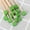 Green, variant on 100 Pcs Rock Candy Sticks Wood Swizzle Sticks Wood Cake Pop Sticks Drink Stirrer Sticks for Lollipop Coffee Appetizer Skewer 6inch