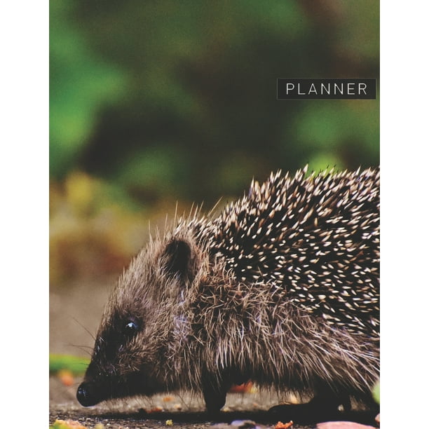 Planner: Hedgehog 2 Year Weekly Planning Organizer - 2020 ...