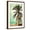 Brown Frame, variant on Art.com Pacific Beach, California - Lifeguard Shack and Palm Art Print by Lantern Press, Brown Frame Wall Art, 21" x 29"