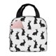 thumbnail image 1 of Easygdp Black Rabbit Bolsa Térmica Premium - Tela Oxford Impermeable, Gran Capacidad, Bolsillo Frontal, Unisex para Trabajo, Escuela, Actividades al Aire Libre y Picnics, 1 of 8