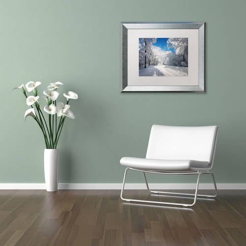 Trademark Fine Art "Going Nowhere" Canvas Art by Philippe Sainte-Laudy, White Matte, Silver Frame