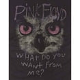 thumbnail image 3 of Pink Floyd  Adult What Do You Want From Me? Owl T-Shirt, 3 of 3