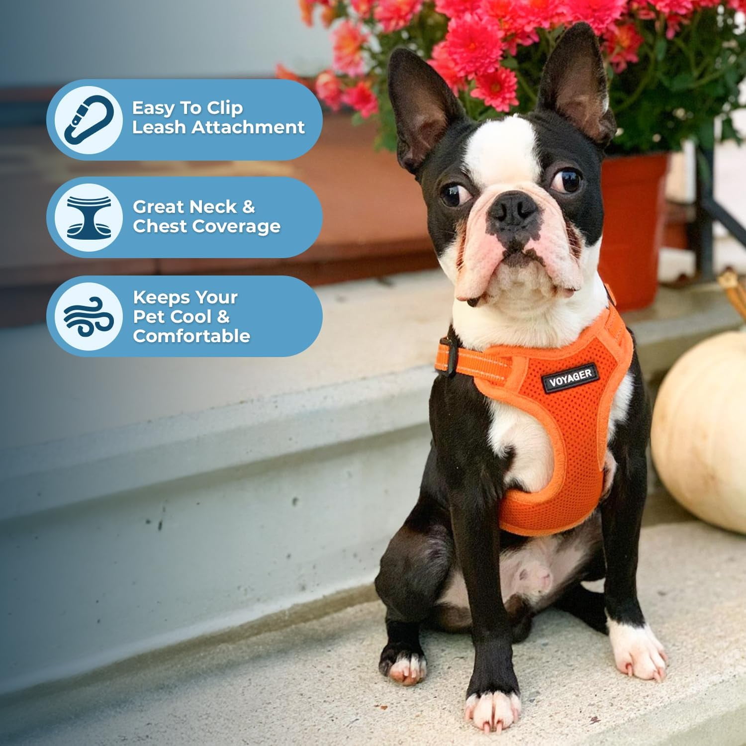 Best Pet Supplies Voyager Step-In Flex Adjustable Mesh Dog Harness