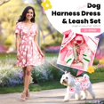 thumbnail image 4 of Newborn Brand Dog Dress Harness With Leash Set Pet Puppy Cat Vest Clothes, 4 of 8