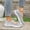 Gray, variant on Women's Embroidery Flats, Embroidery Soft Sole Mesh Upper Spring Summer Big Size Comfortable Shoes Black 7
