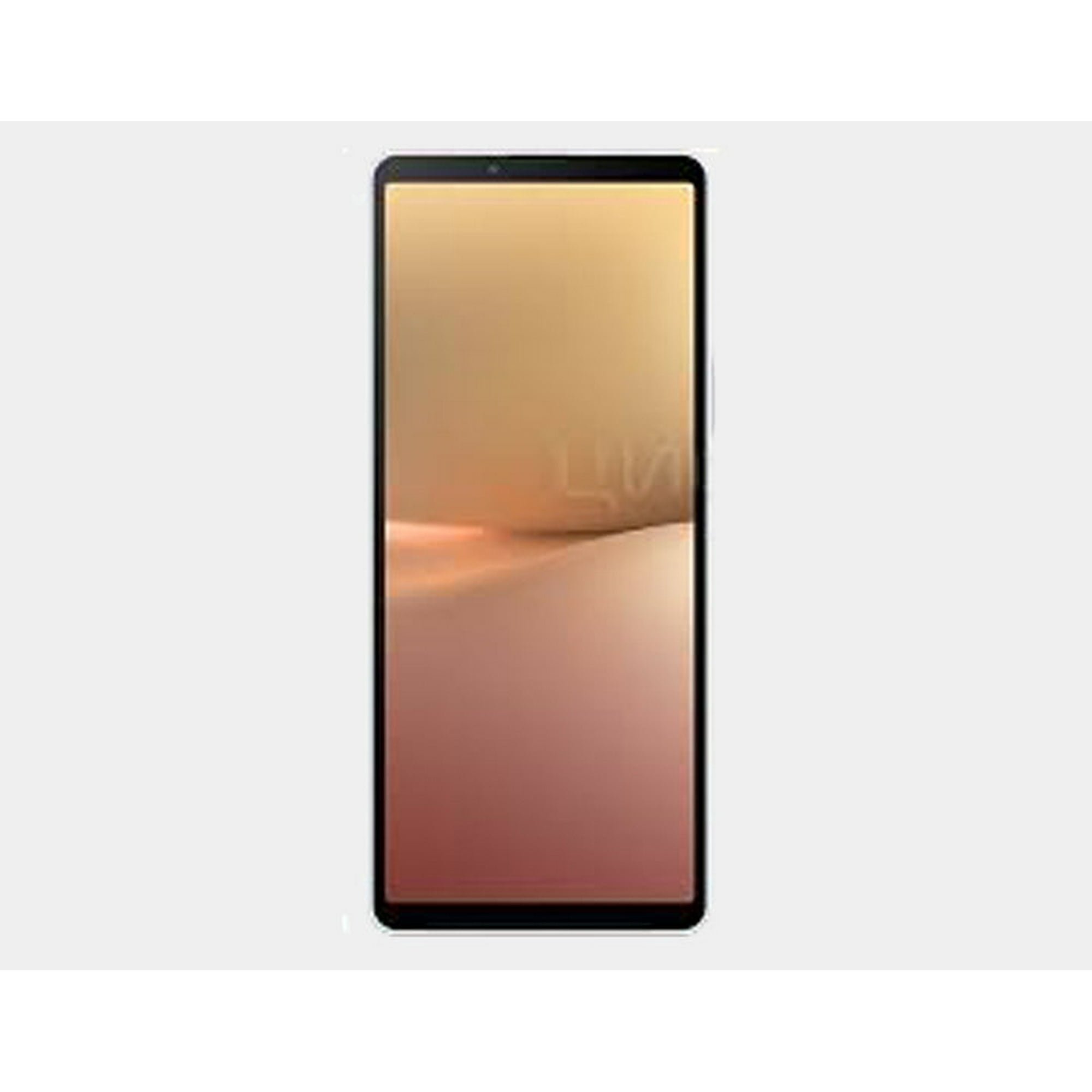 Sony Xperia 10 V XQ-DC72 5G Dual SIM 128GB ROM 8GB RAM GSM