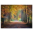 thumbnail image 2 of Wide Pathway in Yellow Fall Forest - Landscape Photography Canvas Print, 2 of 3