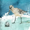 thumbnail image 2 of Robinson, Carol 20x20 White Modern Wood Framed Museum Art Print Titled - Bay Shore Sandpiper II, 2 of 4