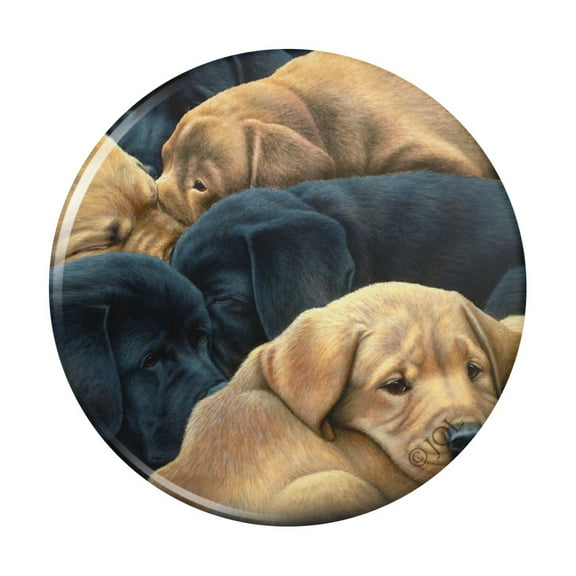Labrador Retriever Puppies Sleeping Litter Kitchen Refrigerator Locker Button Magnet