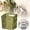 Green, variant on Kitchen Storage Organizer for Food Storage and Kitchen – Transparent Wall Mounted Shelving for Garlic Onion Small Items Non-Drilling Easy Mount Kitchen Shelf