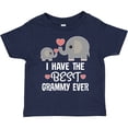thumbnail image 3 of Inktastic Grandkids Best Grammy Ever Gift Boys or Girls Toddler T-Shirt, 3 of 5