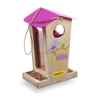  Fun Express DIY Bird Feeder Kit - Set of 12 DIY Bird Feeder  Kits for Kids and Adults - Feed and Delight Beautiful Birds with Our DIY  Wooden Bird Feeders Kits 