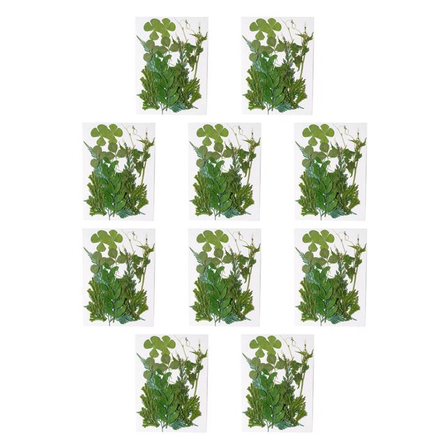 Monstrate Hoja seca natural DIY Planta en relieve Hojas prensadas Decoraciones Hogar para tarjetas de boda de resina Hoja verde 12 Hoja verde 12 10piezas Monstrate CBP164000