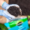thumbnail image 4 of Miracle-Gro Sea Mix 25L, 4 of 6