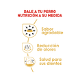 thumbnail image 2 of Alimento para Perro Royal Canin Chihuahua 1.1Kg Adulto Seco, 2 of 4