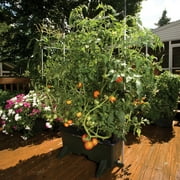 EarthBox Container Gardening System - Black