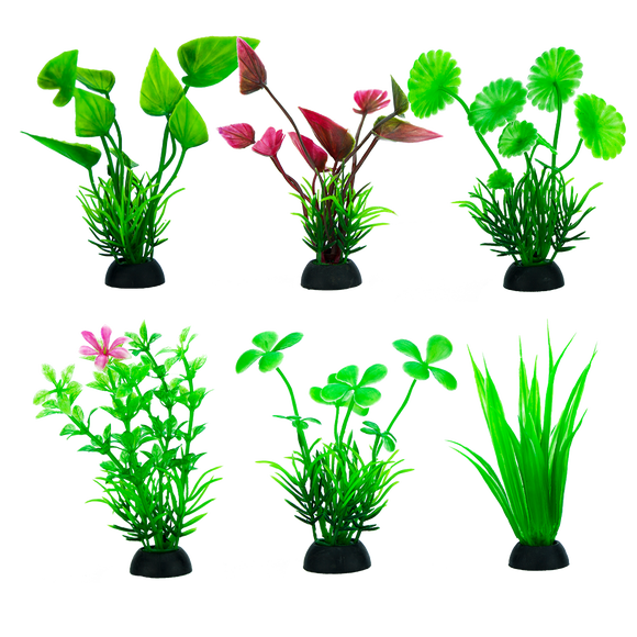 Planta P/Acuario Lomas 50 CM 6 Pz
