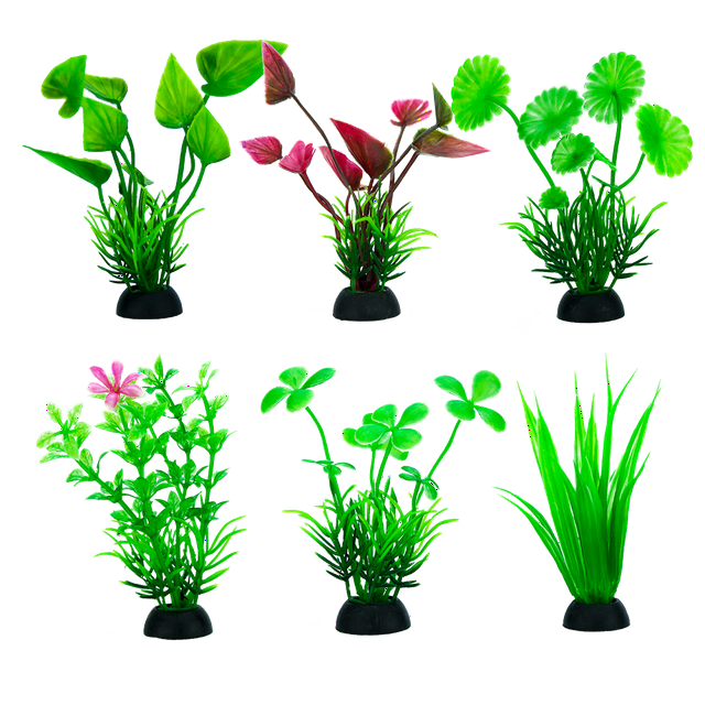 Planta P/Acuario Lomas 50 CM 6 Pz