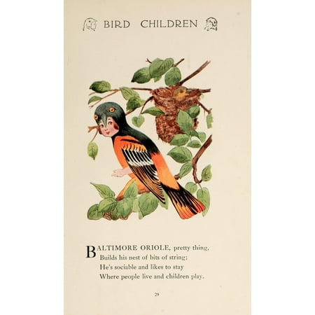 Bird Children 1912 Baltimore Oriole Poster Print by M.T. Ross (24 x 36)