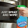 thumbnail image 6 of Fantastik All-Purpose Cleaner with Bleach, 32 Ounce Trigger Bottle, 6 of 14