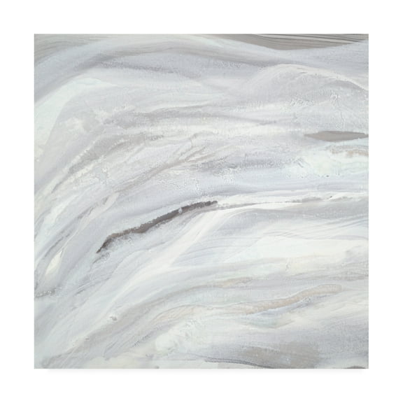 Trademark Fine Art 'Silver Fragments I' Canvas Art by Teodora Guererra