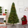 thumbnail image 4 of Nearly Natural 8' Vermont Fir Christmas Tree with 450 Clear LED Lights - Green, 4 of 5