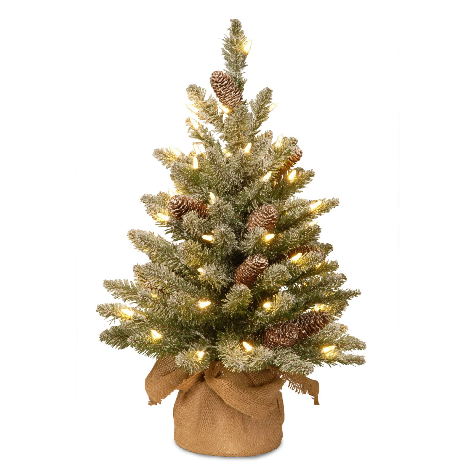 Snowy Concolor Fir Small Christmas Tree in Burlap with Snowy Cones 