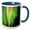 Blue/White, variant on 3drose, , Alaska, Fairbanks. Northern Lights and Stars., 11oz Magic Transforming Mug