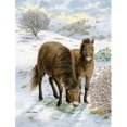 thumbnail image 1 of Exmoor Ponies Horse Flag Garden Size, 1 of 1