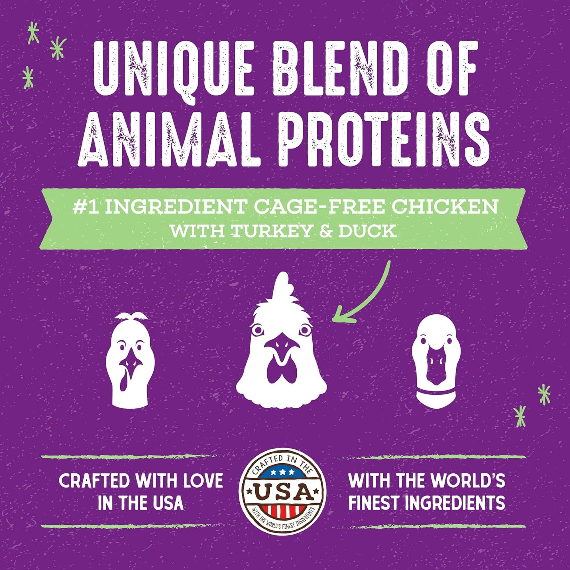 Stella & Chewy's Baked Kibble for Cats - Raw Blend Cage-Free Recipe - 10 Pound Bag