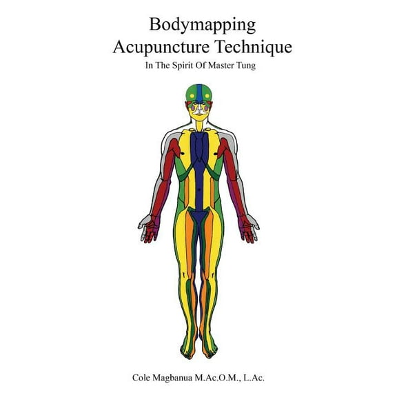 Bodymapping Acupuncture Technique: In the Spirit of Master Tung (Paperback)