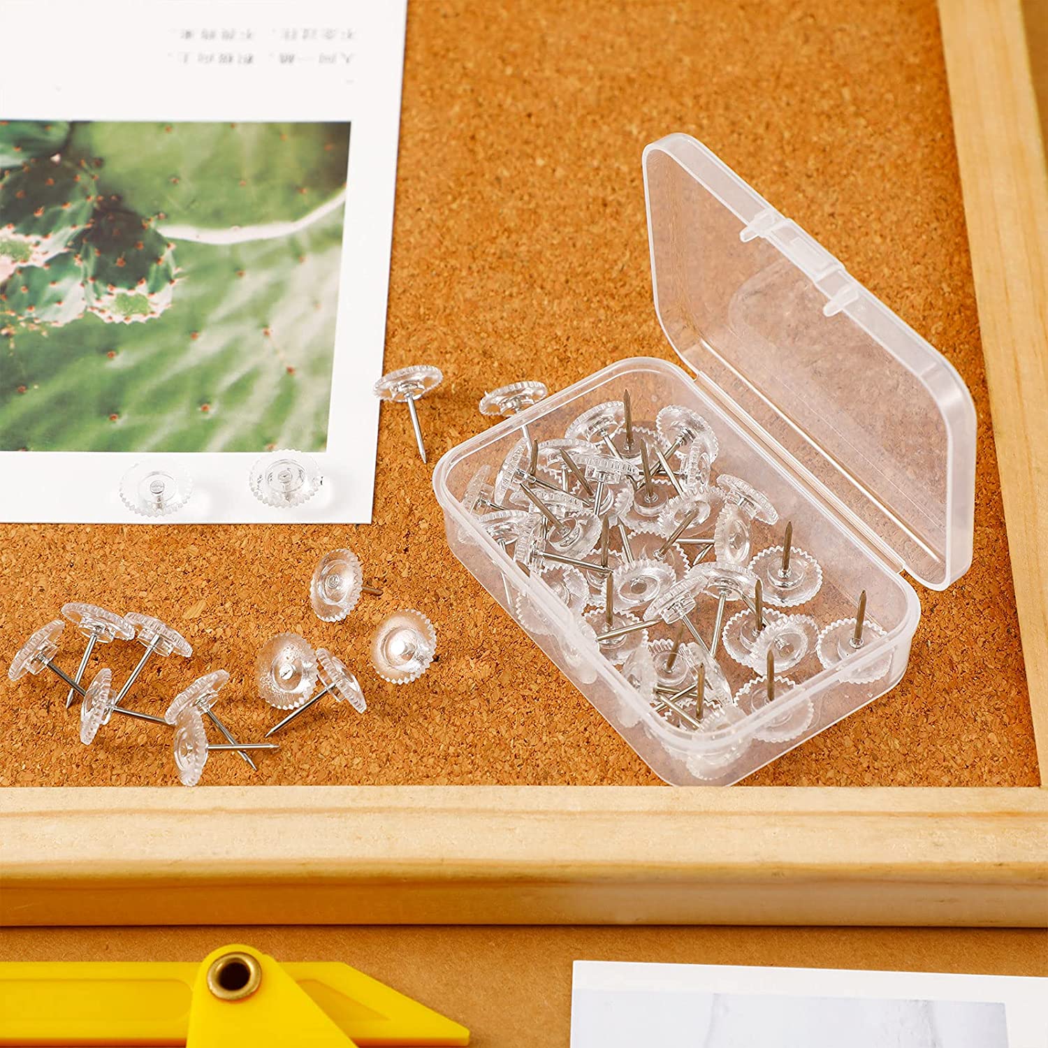 Clear Push Pins Small Plastic Thumb Tacks Steel Point and Clear Plastic ...