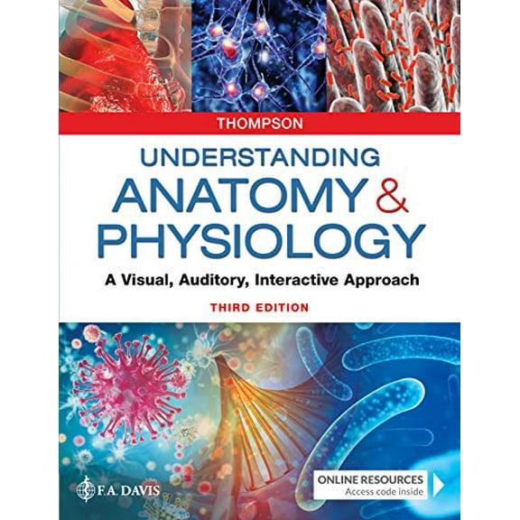 Pre-Owned Understanding Anatomy & Physiology: A Visual, Auditory, Interactive Approach (Paperback) 080367645X 9780803676459