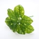 thumbnail image 3 of Flor artificial Planta verde Planta en maceta Decoración de pared Simulación de plantas Hojas Fondo Pared Arreglo floral Materiales a juego Verde, 3 of 6