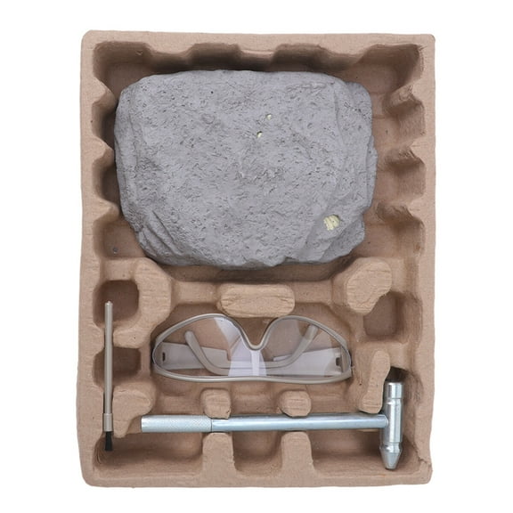 STRANDCHIC 1Set Dinosaur DIY Excavation Kit Assorted Colors for Archaeology Science and Coordination Skills