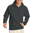 thumbnail image 2 of Hanes mens Pullover Ecosmart Hooded Sweatshirt Hoody, Charcoal Heather, Large US Hanes Hanes, 2 of 2