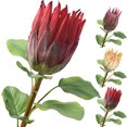 thumbnail image 2 of Coofit Artificial Flower Lifelike Protea Flower Arrangement Vase Flower for Wedding, 2 of 6