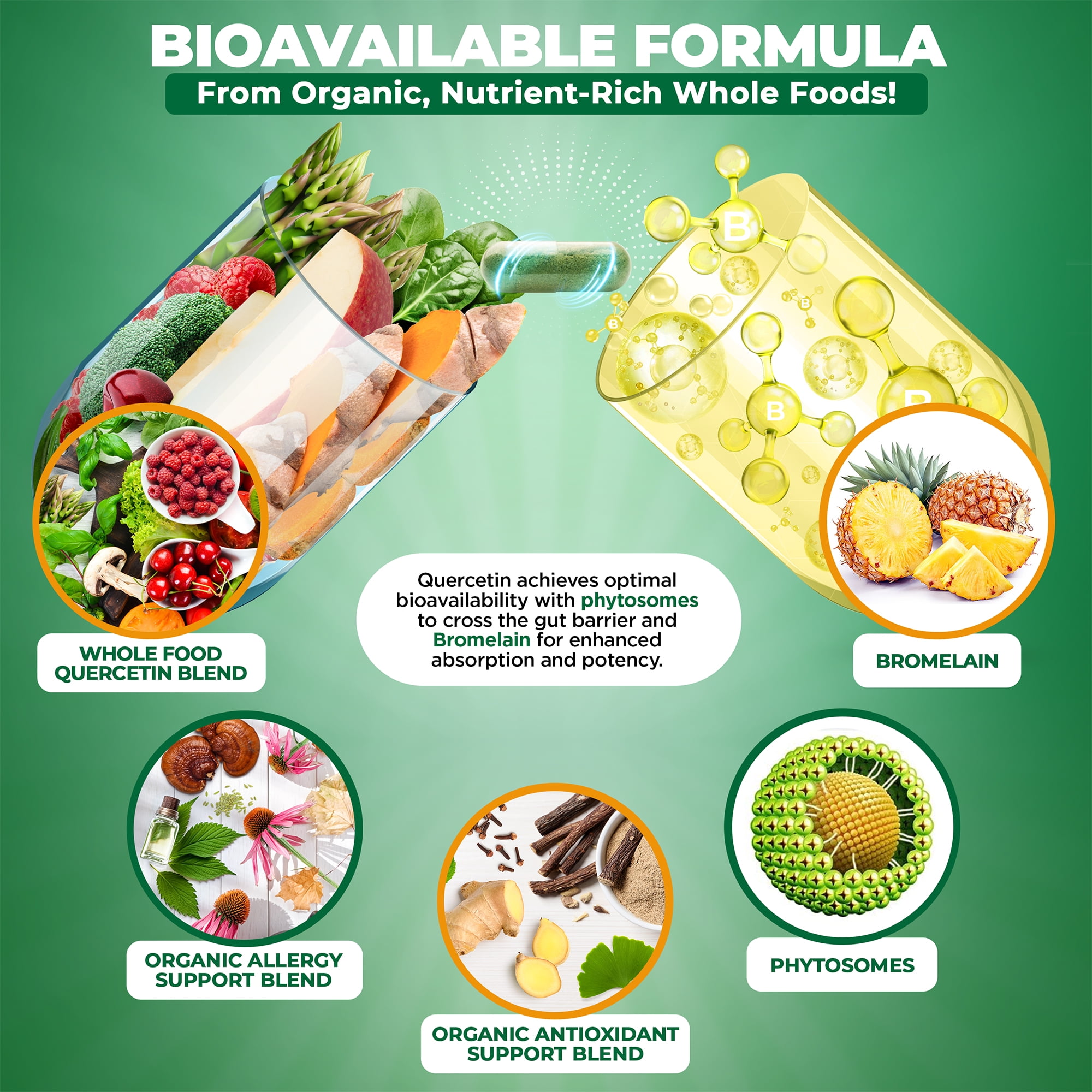MoxyVites Quercetin with Bromelain 500mg, High Absorption, Phytosome Form, Vegan, 120 Capsules