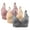 Gray, variant on 3 PC Bras for Women No Underwire Push up Bra Adjustable Straps No Underwire Bras Full Coverage Everday Bra