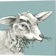 thumbnail image 3 of Great Art Now Cow, Goat & Sheep by Kelsey Wilson 3 Piece Canvas Art Set Each 14W x 14H, 3 of 4