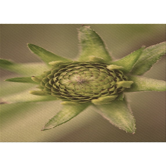 Ahgly Company Indoor Rectangle Patterned Red Dirt Brown Area Rugs, 5' x 7'