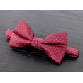 thumbnail image 2 of Spring Notion Men's Microfiber Dotted Bow Tie, 2 of 3