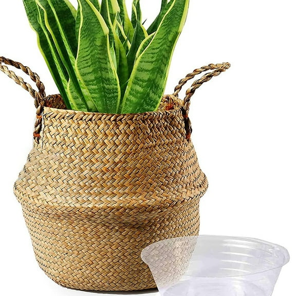 Travelwant Plant Basket Wicker Basket Indoor, Woven Seagrass Basket for Plants, Large Belly Basket, Woven Basket for Plant, Natural Picnic Tree Basket