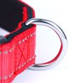 thumbnail image 3 of CSChome Pet Collar Pet Collar Adjustable Reflective Strap Buckle Closure Padded Nylon Dog Collar, 3 of 7