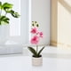 thumbnail image 5 of Artificial Potted Phalaenopsis Orchid with Bendable Stems for Home Office Desk Wedding Decor 1 Count, 5 of 9