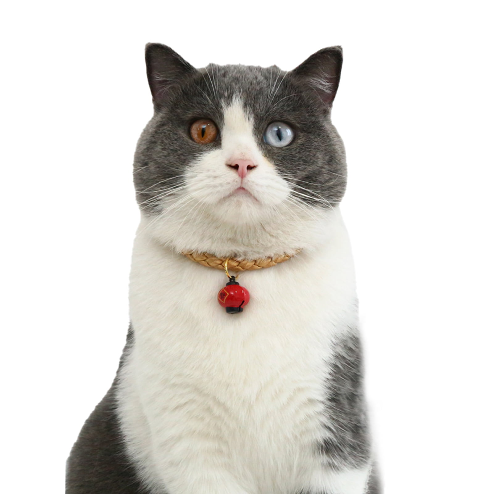 Walbest Cat Collar with Bell Lucky Bag Lantern Basic Dog Cat Collar  Adjustable Acrylic Fiber Cat Dog Collar 