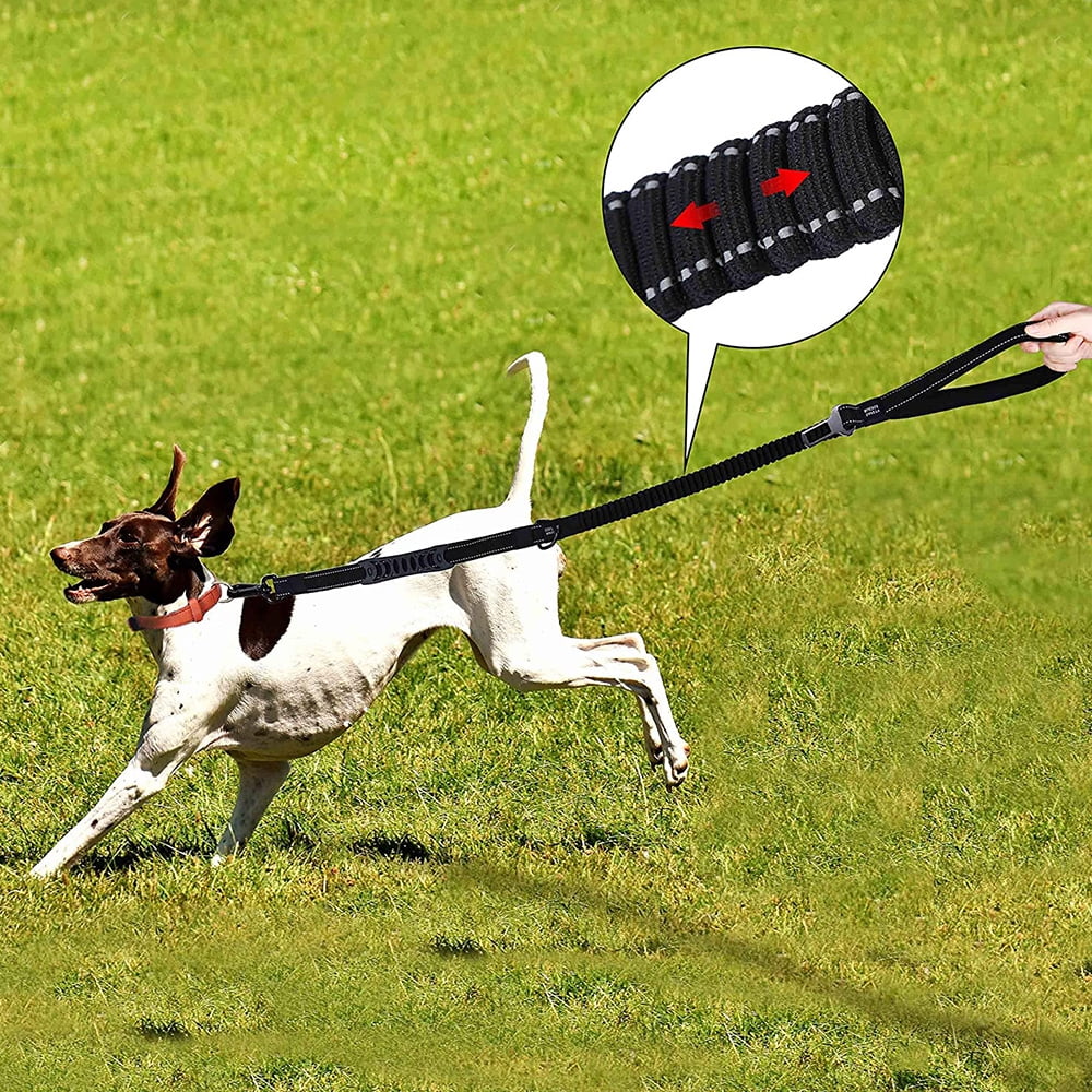 Dog leash car buckle hot sale